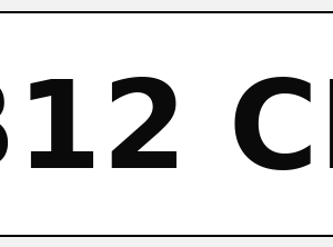 Standard Printed Plate (Pair)