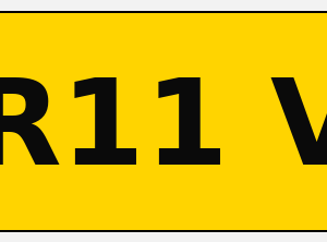 4D Gel Plate with Euro Badge (Rear)