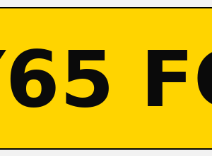 Standard Printed Plate (Rear Only)